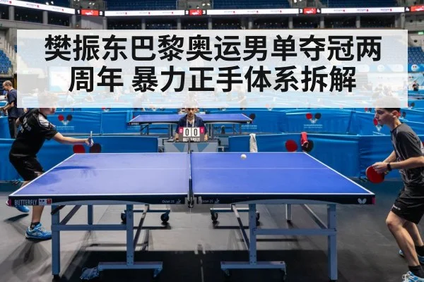 樊振东巴黎奥运男单夺冠两周年 暴力正手体系拆解